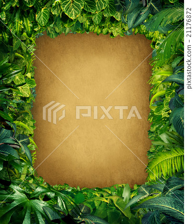 Wild Jungle Frame 21176872
