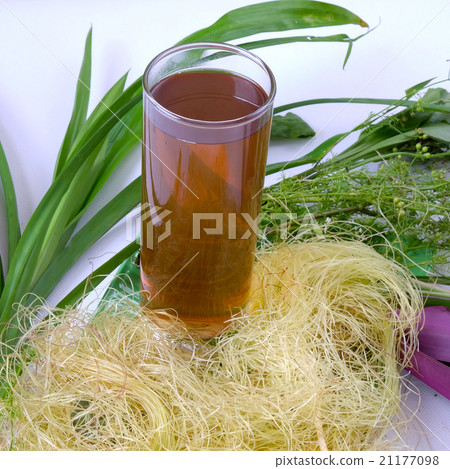Vietnam drink, herb, healthy beverage, sam Vietnam drink, herb, healthy beverage, sam 21177098