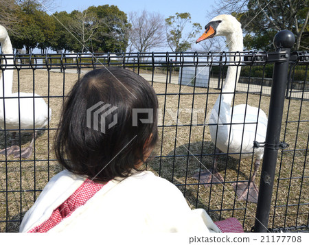 Animals and children Animals and children 21177708