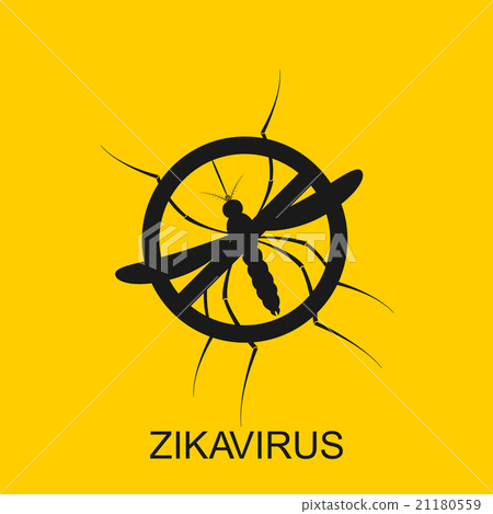 Zika mosquito vector. Virus alert. Aedes Aegypti Zika mosquito vector. Virus alert. Aedes Aegypti 21180559