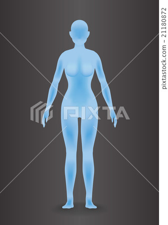 Three-dimensional female silhouette vector illustration 21180872
