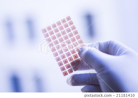 Auriculartherapy acupunture ear seeds Auriculartherapy acupunture ear seeds 21181410