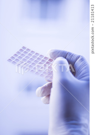 Auriculartherapy acupunture ear seeds Auriculartherapy acupunture ear seeds 21181413