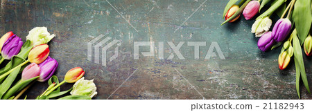 Tulips on a wooden background Tulips on a wooden background 21182943