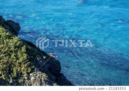 Sunshine God pride in summer Shakotan peninsula in summer Sunshine God pride in summer Shakotan peninsula in summer 21183353