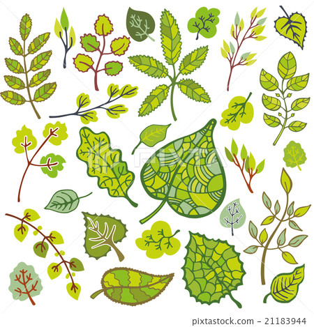 Vector autumn set with leaf,branches,berries Vector autumn set with leaf,branches,berries 21183944