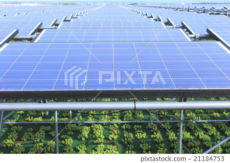 太陽能電池板_農業型太陽能_鳥取縣Hokuei鎮 21184753