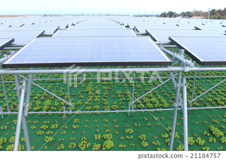 太陽能電池板_農業型太陽能_鳥取縣Hokuei鎮 太陽能電池板_農業型太陽能_鳥取縣Hokuei鎮 21184757