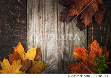 Colorful autumnal leaves on the wooden table  21185011