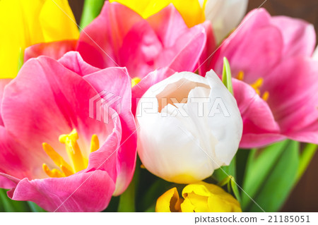 Bouquet Of Tulips In Front Of Spring Scene Bouquet Of Tulips In Front Of Spring Scene 21185051