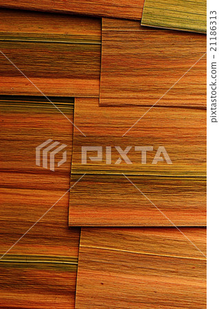 texture plant fiber leaf to the light texture plant fiber leaf to the light 21186313