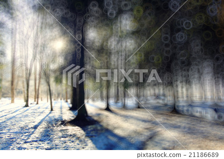 blurred background early winter 21186689