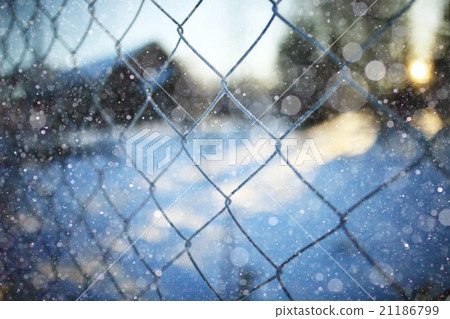 Rabitz winter background 21186799