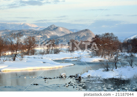 The landscape of the swans 21187044