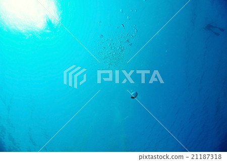 Texture sea water underwater 21187318