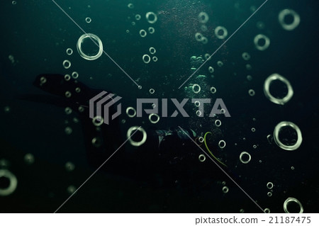 Underwater World on the lake, reeds and clear water 21187475