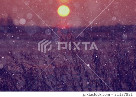 winter sunset sun ball at sunset winter sunset sun ball at sunset 21187851