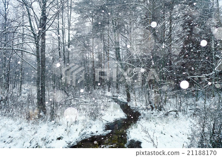 frozen creek in winter forest landscape frozen creek in winter forest landscape 21188170