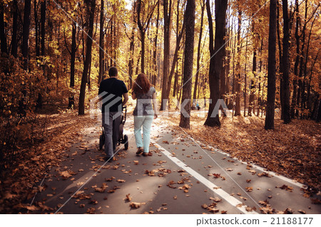 landscape autumn path in the park landscape autumn path in the park 21188177