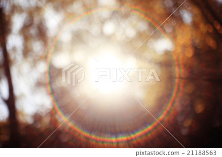 background solar flare from the lens Autumn background with leaves background solar flare from the lens Autumn background with leaves 21188563