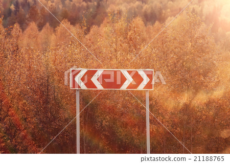 Autumn road landscape 21188765