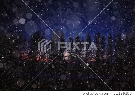 night snowfall trees background 21189196