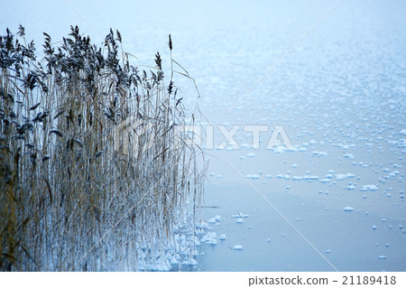 texture of the frozen lake, the ice texture of the frozen lake, the ice 21189418