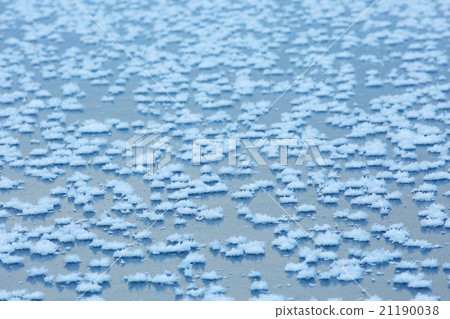 texture of the frozen lake, the ice 21190038