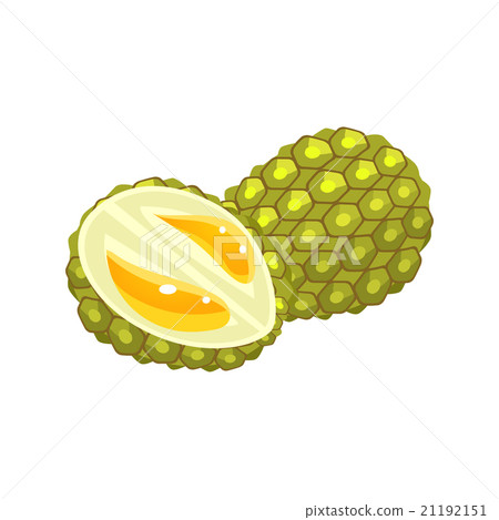 Durian Flat Vector Sticker Durian Flat Vector Sticker 21192151
