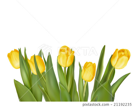 Bouquet of yellow tulips. EPS 10 21192235