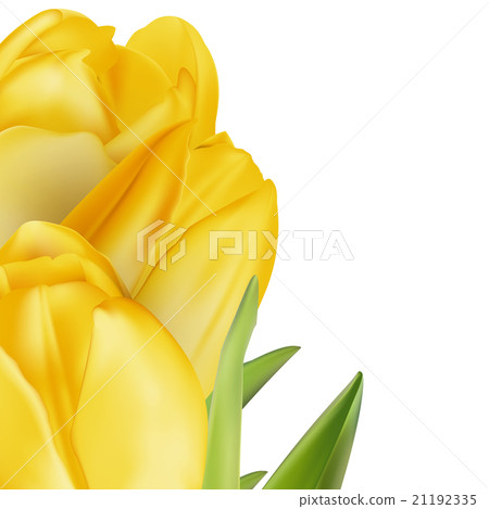 Tulips decorative background. EPS 10 21192335
