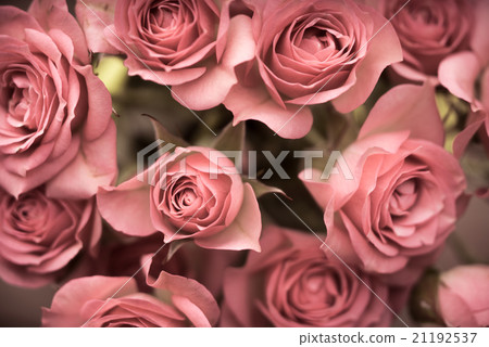 Big bouquet of pink roses 21192537