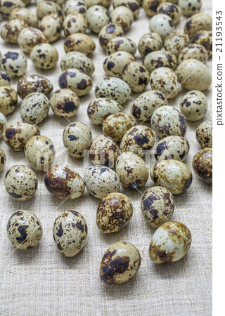 Dumping many partridge eggs on bark textile 21193543