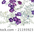 Watercolor illustration · decorative painting of flower · petunia 21193923
