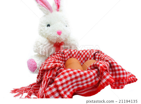 White rabbit with eggs on white background 21194135