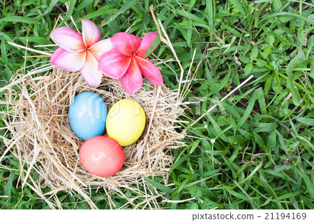 Organic egg in nest on green grass background Organic egg in nest on green grass background 21194169