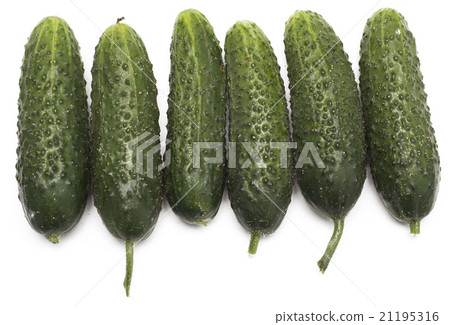 cucumbers cucumbers 21195316