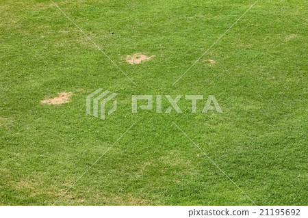 Green grass playing field 21195692