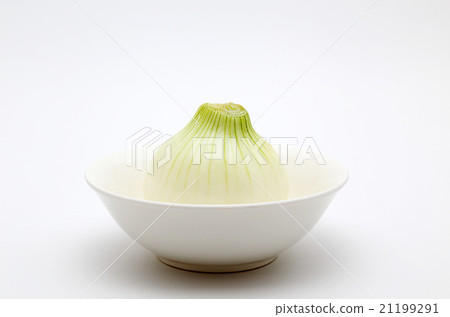 新洋蔥 新洋蔥 21199291