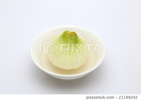 新洋蔥 新洋蔥 21199292