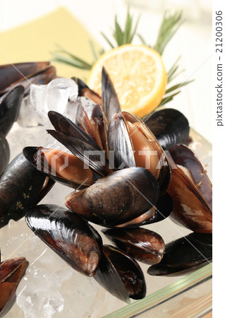 Raw mussels on ice Raw mussels on ice 21200306