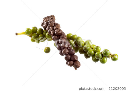 Green and black peppercorns 21202003