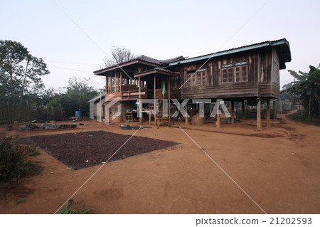 Drying coffee beans 21202593