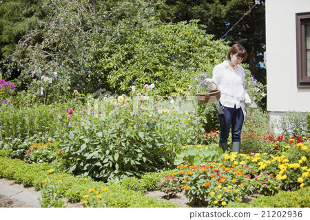 Women who do gardening 21202936