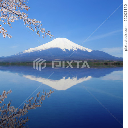 Mt.Fuji with water reflection at Lake Yamanaka Mt.Fuji with water reflection at Lake Yamanaka 21203130