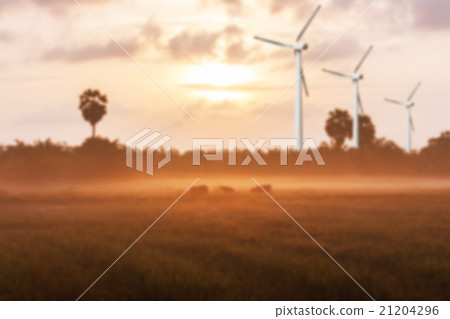 the wind turbine in The morning sunrise green rice field,renewab 21204296