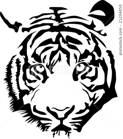 Tiger Tiger 21204858