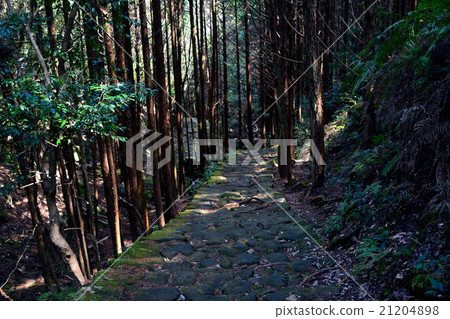 Kumano Kodo Kumano Kodo 21204898