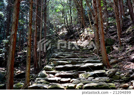 Kumano Kodo Kumano Kodo 21204899