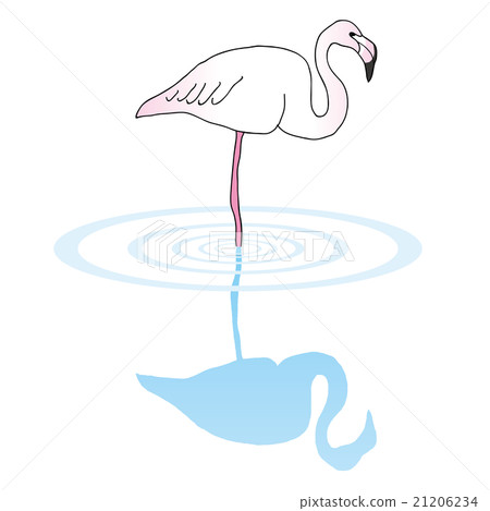 Flamingo Flamingo 21206234